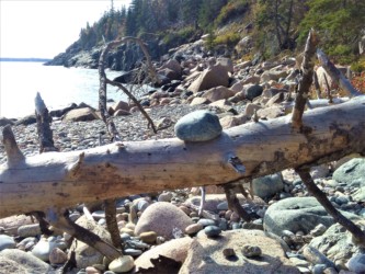 "Mount Desert Island" - Maine, U.S.A.