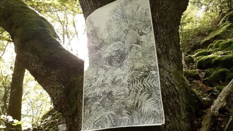 "Forêt primaire de demain" Encre de Chine sur papier 80 x 120 cm 2019 (Collection privée)
Forêt de Simonswald (DE)
